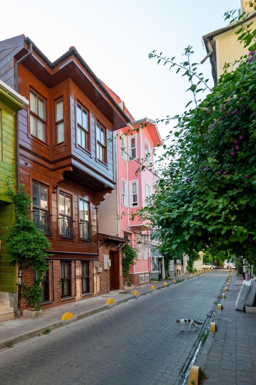 Brown Mansion Oldcity Κωνσταντινούπολη Εξωτερικό φωτογραφία